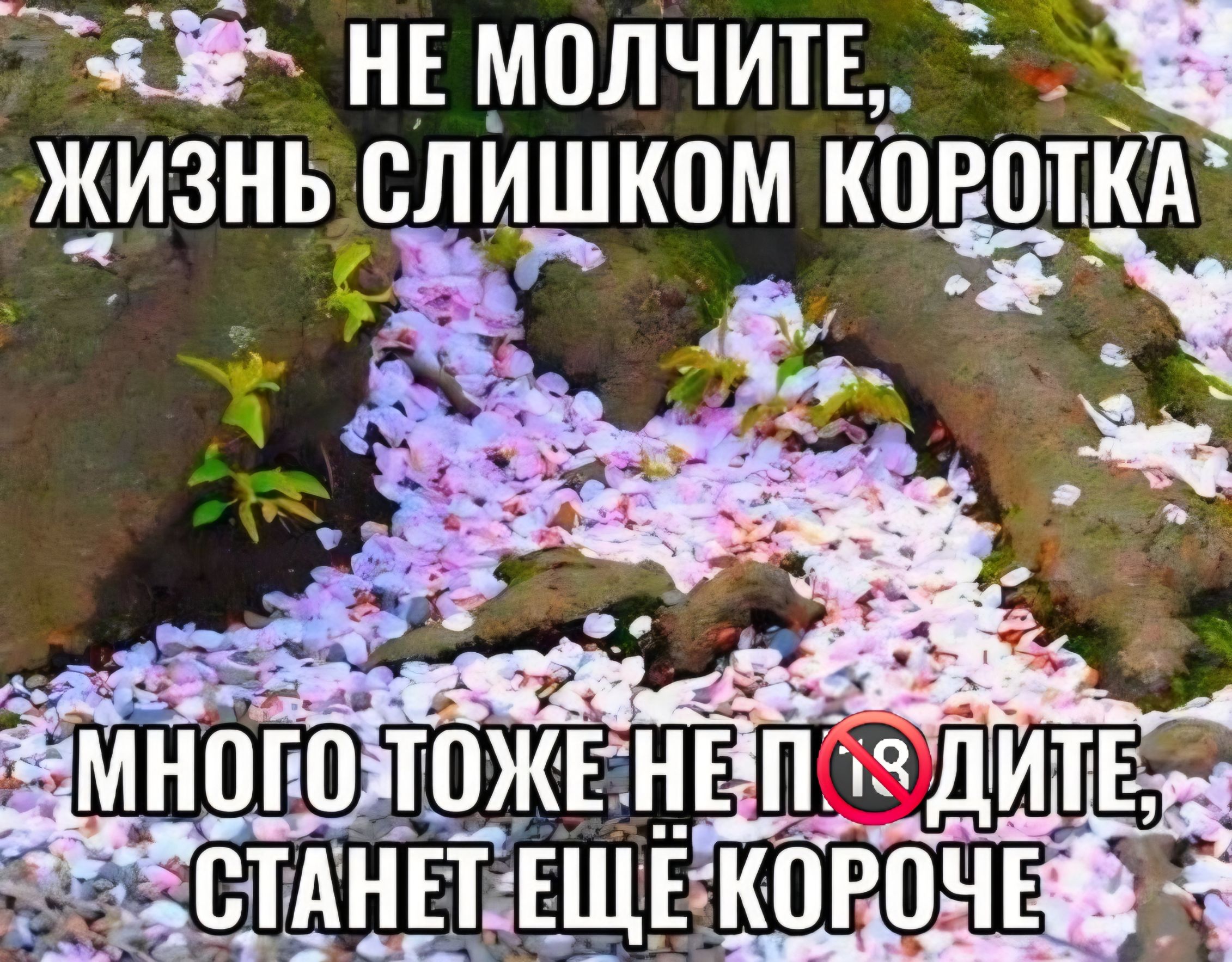 НЕ МОЛЧИТЕ, ЖИЗНЬ СЛИШКОМ КОРОТКА МНОГО ТОЖЕ НЕ 🔞 ДИТЕ, СТАНЕТ ЕЩЁ КОРОЧЕ