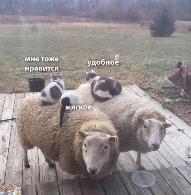 мне тоже нравится удобное мягкое