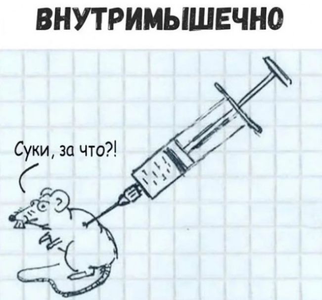 ВНУТРИМЫШЕЧНО Суки, за что?!