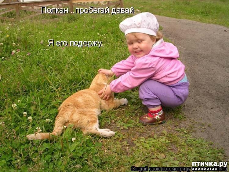 Полкан ..пробегай давай Я его подержу.