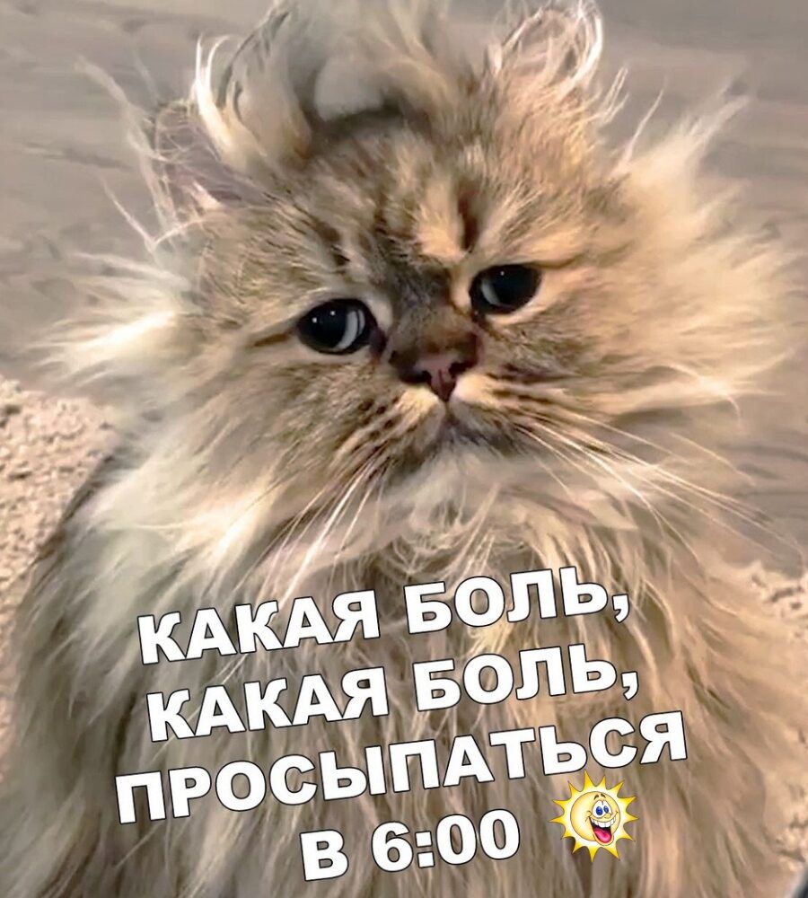 КАКАЯ БОЛЬ, КАКАЯ БОЛЬ, ПРОСЫПАТЬСЯ В 6:00