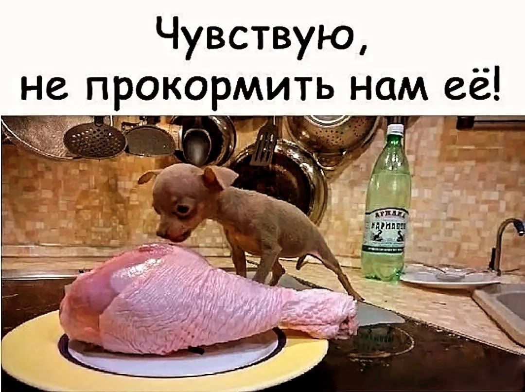 Чувствую, не прокормить нам её!