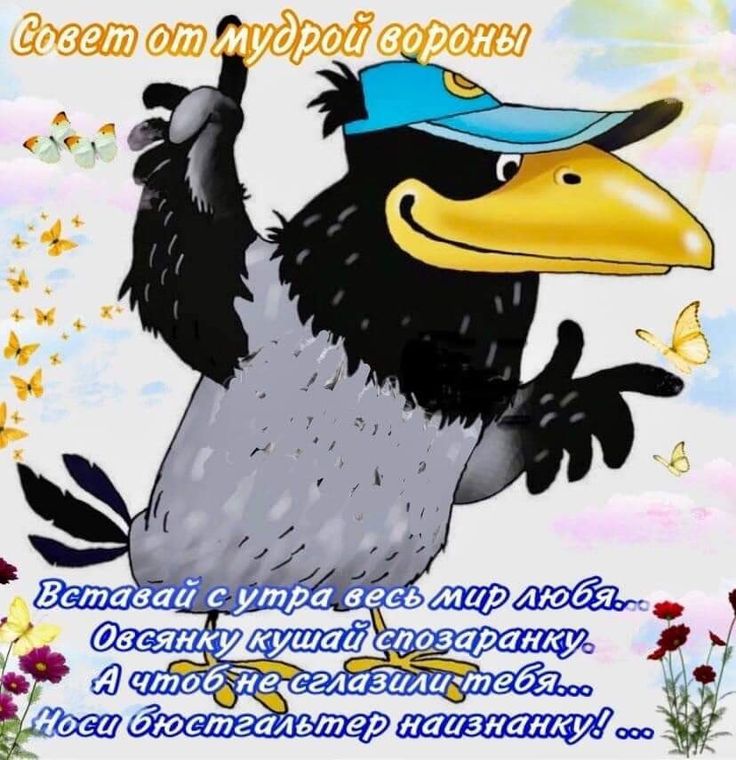 Совет от мудрой вороны Вставай с утра весь мир любя... Овсянку кушай спозаранку. А чтоб не сглазили тебя... Носи бюстгальтер наизнанку! ...