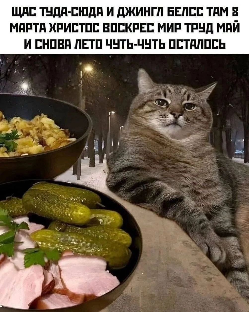 ЩАС ТУДА-СЮДА И ДЖИНГЛ БЕЛСС ТАМ 8 МАРТА ХРИСТОС ВОСКРЕС МИР ТРУД МАЙ И СНОВА ЛЕТО ЧУТЬ-ЧУТЬ ОСТАЛОСЬ