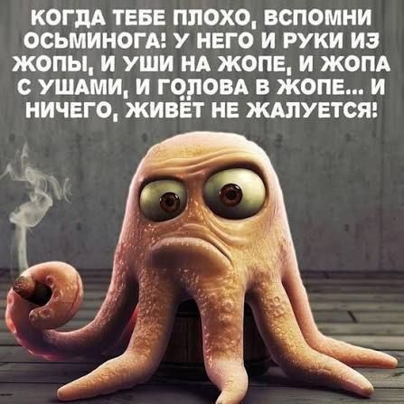 КОГДА ТЕБЕ ПЛОХО, ВСПОМНИ ОСЬМИНОГА! У НЕГО И РУКИ ИЗ ЖОПЫ, И УШИ НА ЖОПЕ, И ЖОПА С УШАМИ, И ГОЛОВА В ЖОПЕ... И НИЧЕГО, ЖИВЁТ НЕ ЖАЛУЕТСЯ!