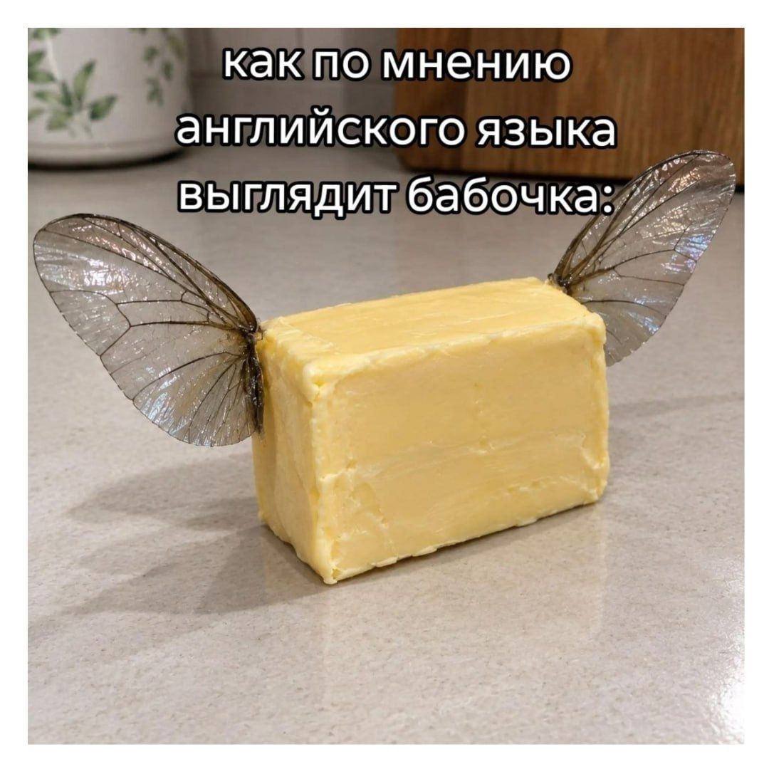 как по мнению английского языка выглядит бабочка: