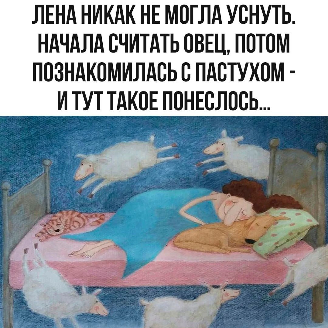 ЛЕНА НИКАК НЕ МОГЛА УСНУТЬ. НАЧАЛА СЧИТАТЬ ОВЕЦ, ПОТОМ ПОЗНАКОМИЛАСЬ С ПАСТУХОМ - И ТУТ ТАКОЕ ПОНЕСЛОСЬ...