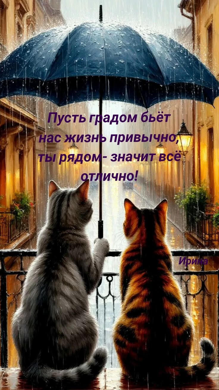 Пусть градом бьёт нас жизнь привычно, ты рядом - значит всё отлично! Ирина