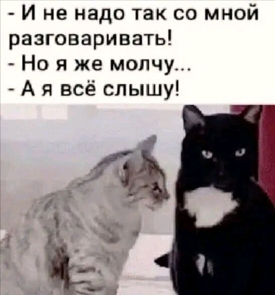 И не надо так со мной разговаривать! - Но я же молчу... - А я всё слышу!