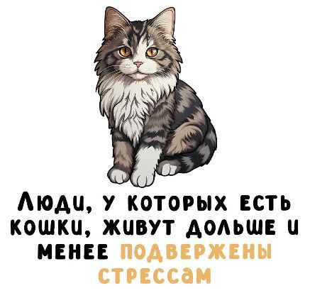 Люди, у которых есть кошки, живут дольше и менее подвержены стрессам