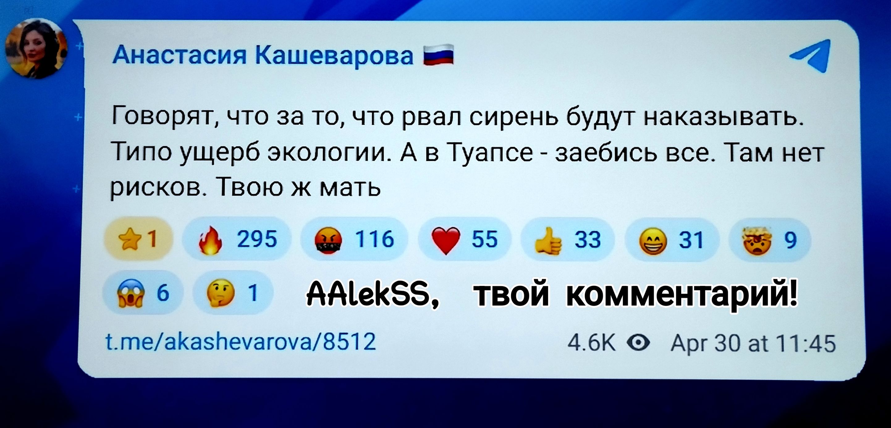 Анастасия Кашеварова. Говорят, что за то, что рвал сирень будут наказывать. Типо ущерб экологии. А в Туапсе - заебись все. Там нет рисков. Твою ж мать. AAlekSS, твой комментарий!