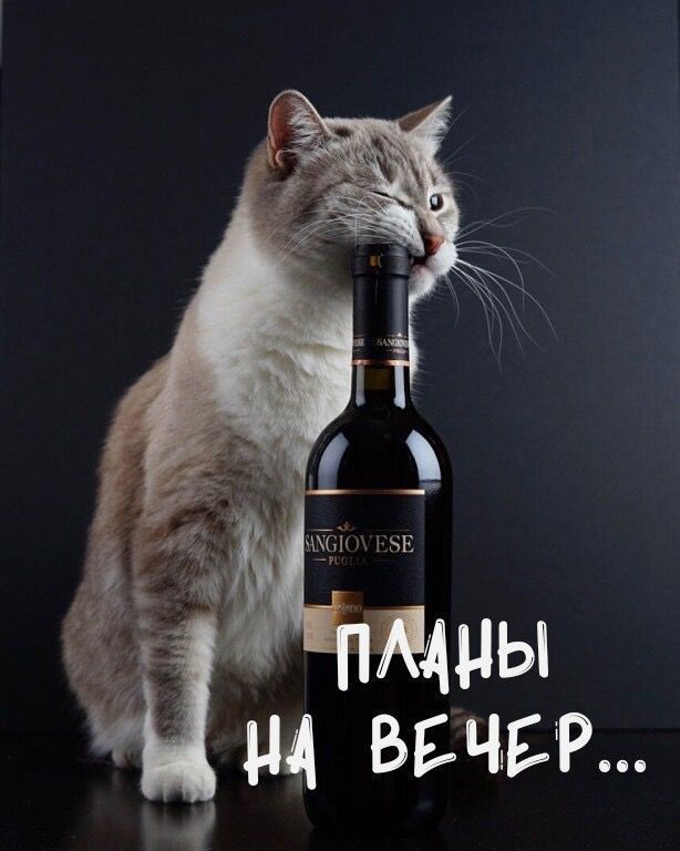 Планы на вечер...