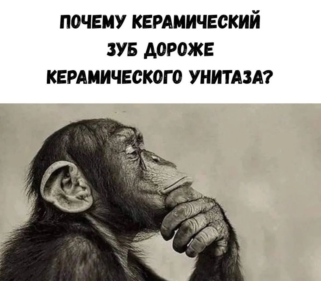 ПОЧЕМУ КЕРАМИЧЕСКИЙ ЗУБ ДОРОЖЕ КЕРАМИЧЕСКОГО УНИТАЗА?