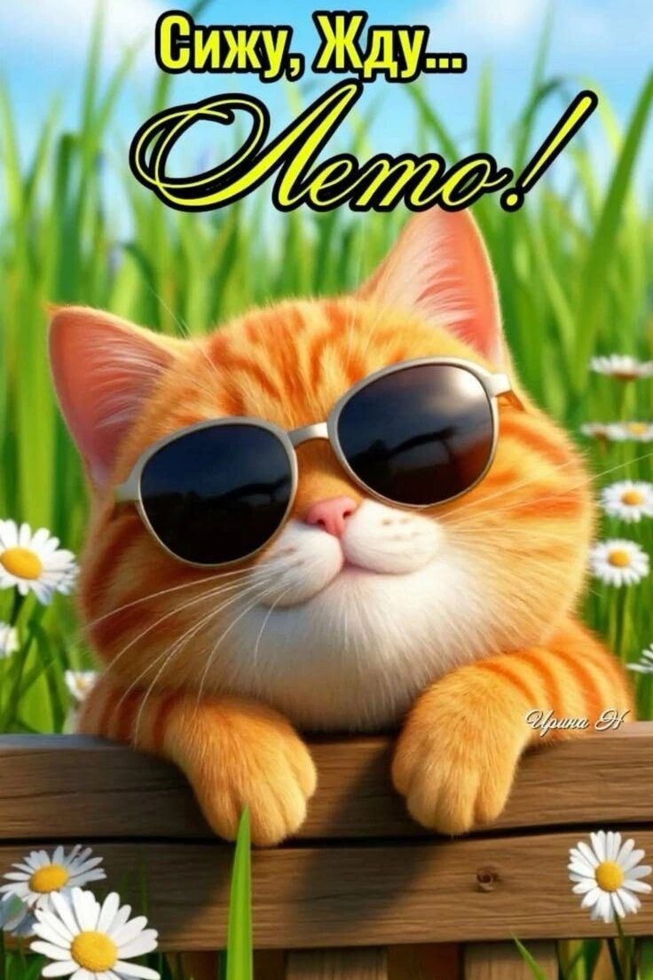 Сижу, Жду... Лето! Ирина Н