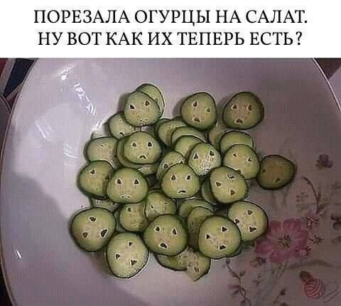 ПОРЕЗАЛА ОГУРЦЫ НА САЛАТ. НУ ВОТ КАК ИХ ТЕПЕРЬ ЕСТЬ?