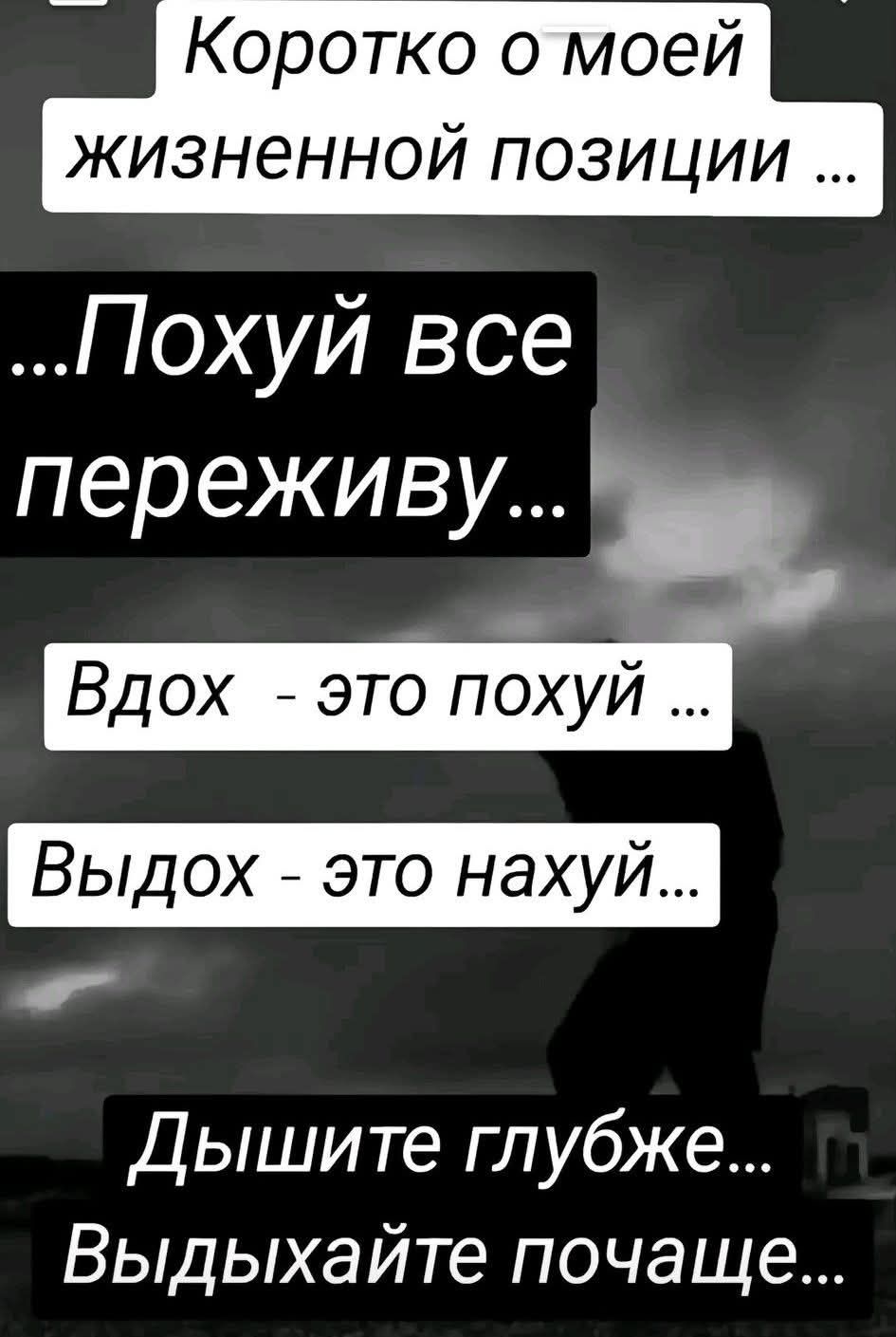 Коротко о моей жизненной позиции ... Похуй все переживу... Вдох - это похуй ... Выдох - это нахуй... Дышите глубже... Выдыхайте почаще...