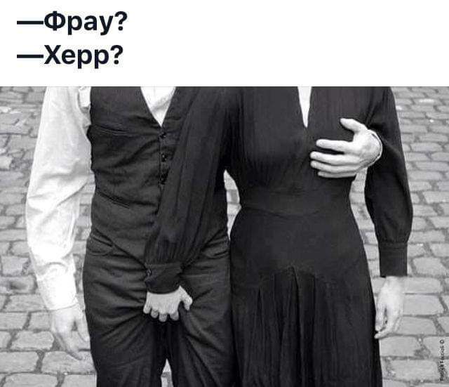 —Фрау?
—Херр?