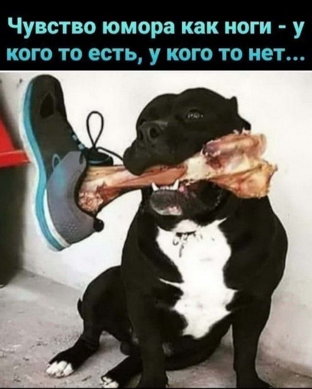 Чувство юмора как ноги - у кого то есть, у кого то нет...