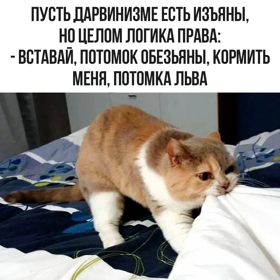 Пусть дарвинизме есть изъяны, но целом логика права: - Вставай, потомок обезьяны, корми меня, потомка льва