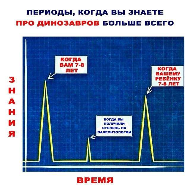 ПЕРИОДЫ, КОГДА ВЫ ЗНАЕТЕ ПРО ДИНОЗАВРОВ БОЛЬШЕ ВСЕГО КОГДА ВАМ 7-8 ЛЕТ КОГДА ВЫ ПОЛУЧИЛИ СТЕПЕНЬ ПО ПАЛЕОНТОЛОГИИ КОГДА ВАШЕМУ РЕБЁНКУ 7-8 ЛЕТ ЗНАНИЯ ВРЕМЯ