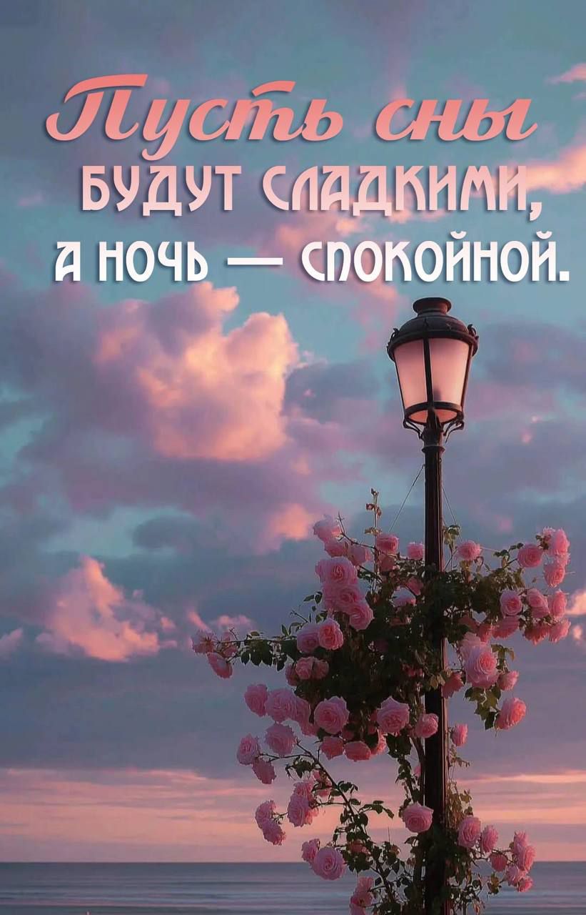 Пусть сны будут сладкими, а ночь — спокойной.