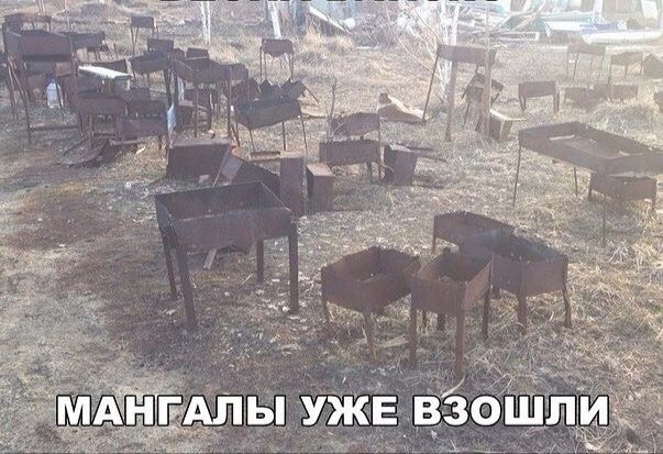 МАНГАЛЫ УЖЕ ВЗОШЛИ