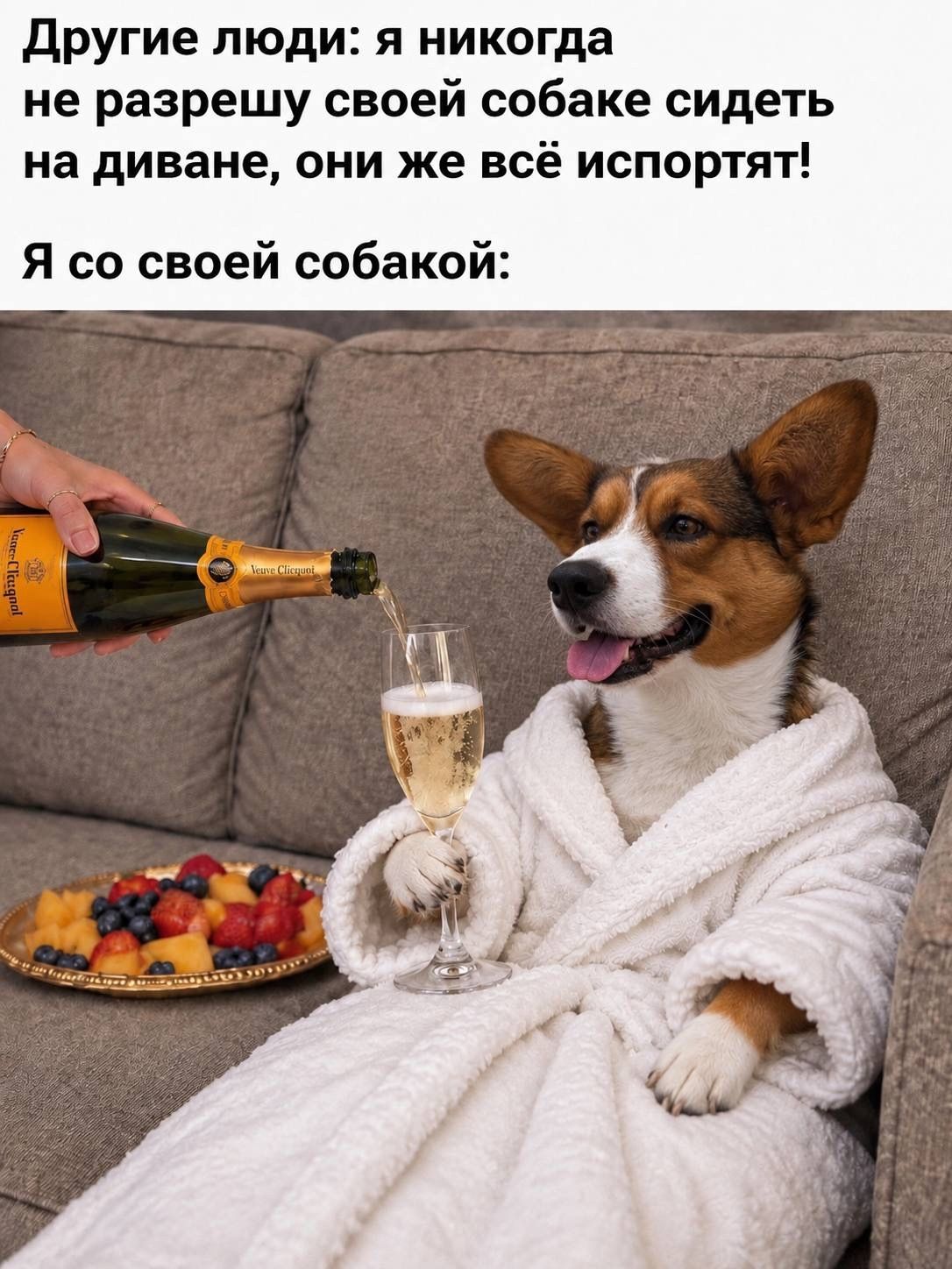Другие люди: я никогда не разрешу своей собаке сидеть на диване, они же всё испортят! Я со своей собакой: