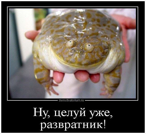 Ну, целуй уже, развратник!