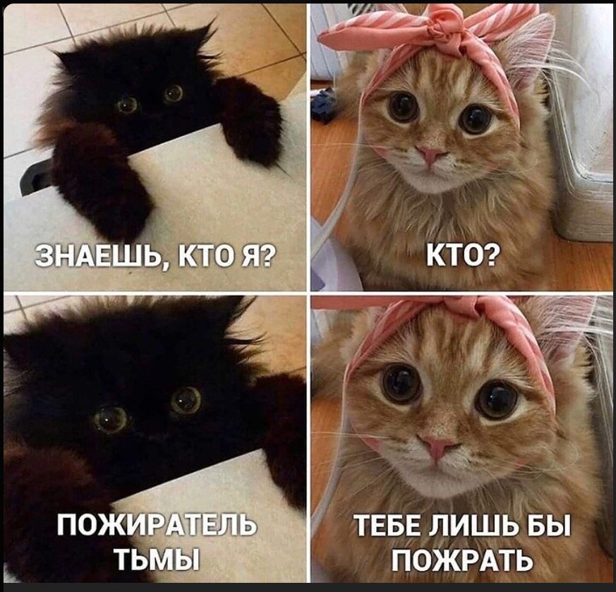 ЗНАЕШЬ, КТО Я? КТО? ПОЖИРАТЕЛЬ ТЬМЫ ТЕБЕ ЛИШЬ БЫ ПОЖРАТЬ