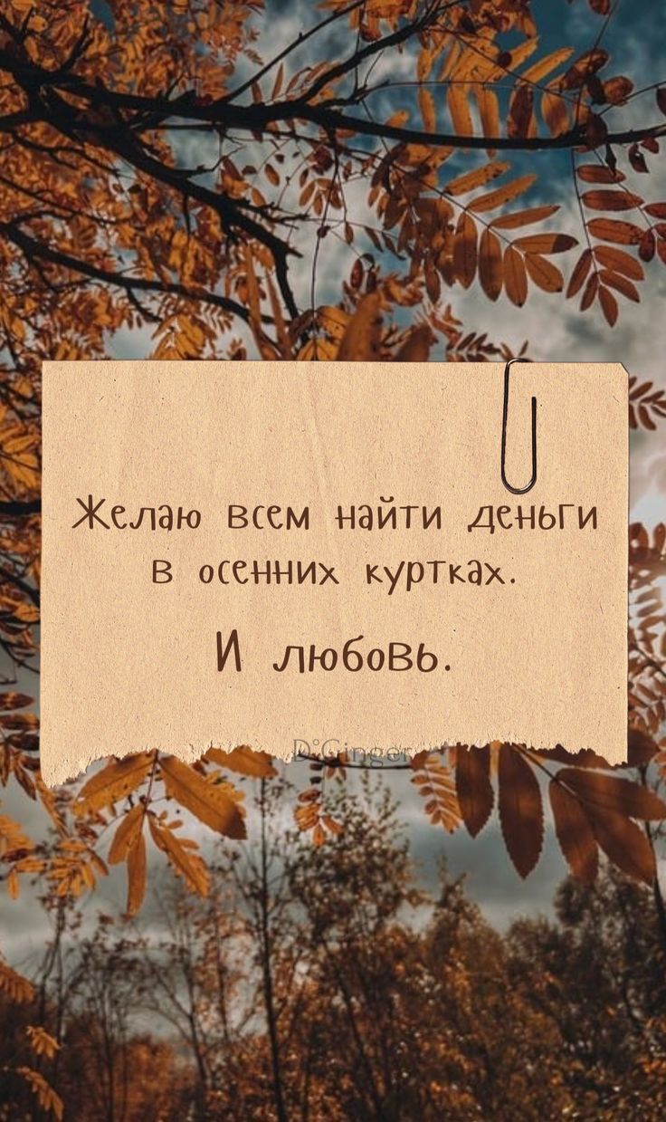 Желаю всем найти деньги в осенних куртках. И любовь.
