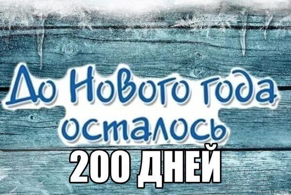 До Нового года осталось 200 дней