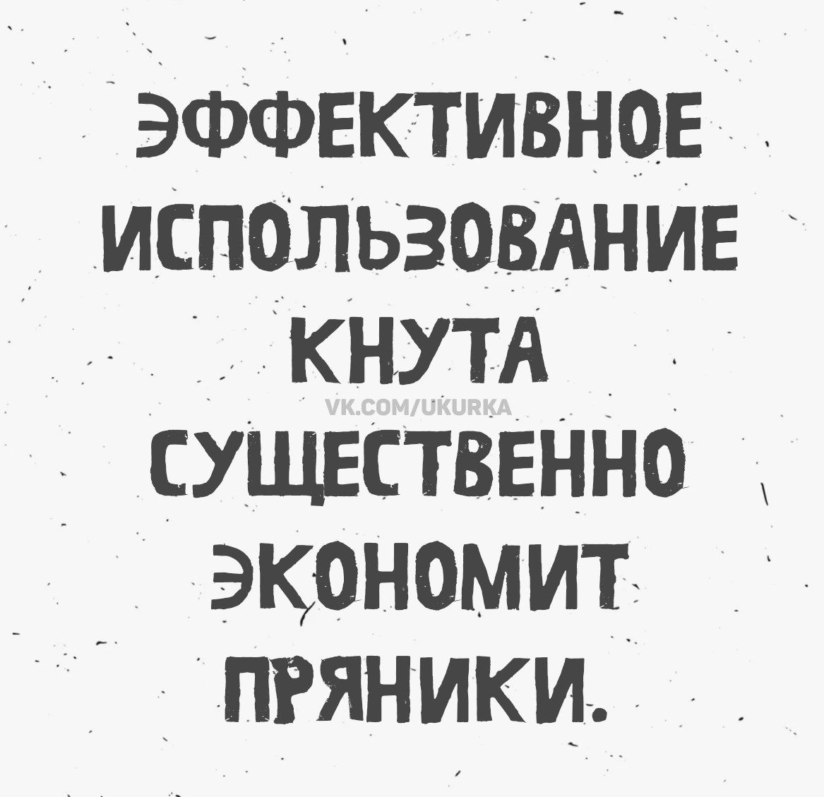 ЭФФЕКТИВНОЕ ИСПОЛЬЗОВАНИЕ КНУТА СУЩЕСТВЕННО ЭКОНОМИТ ПРЯНИКИ. VK.COM/UKURKA