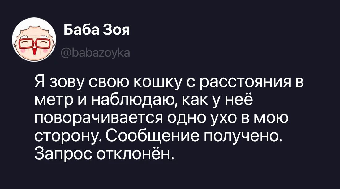 Баба Зоя @babazoyka Я зову свою кошку с расстояния в метр и наблюдаю, как у неё поворачивается одно ухо в мою сторону. Сообщение получено. Запрос отклонён.