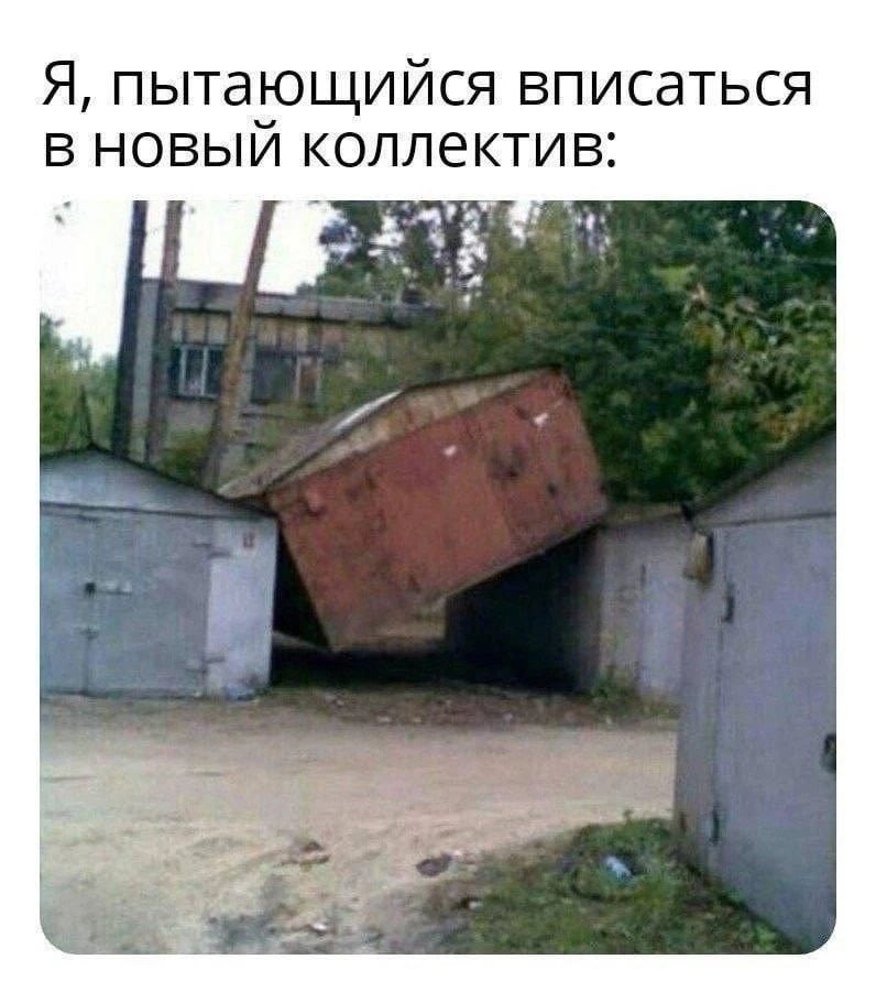 Я, пытающийся вписаться в новый коллектив:
