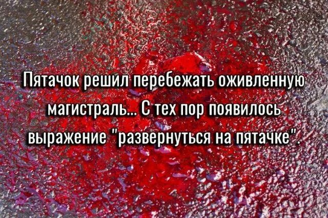 Пятачок решил перебежать оживленную магистраль... С тех пор появилось выражение 