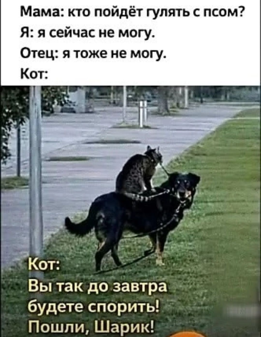 Мама: кто пойдёт гулять с псом? Я: я сейчас не могу. Отец: я тоже не могу. Кот: Вы так до завтра будете спорить! Пошли, Шарик!