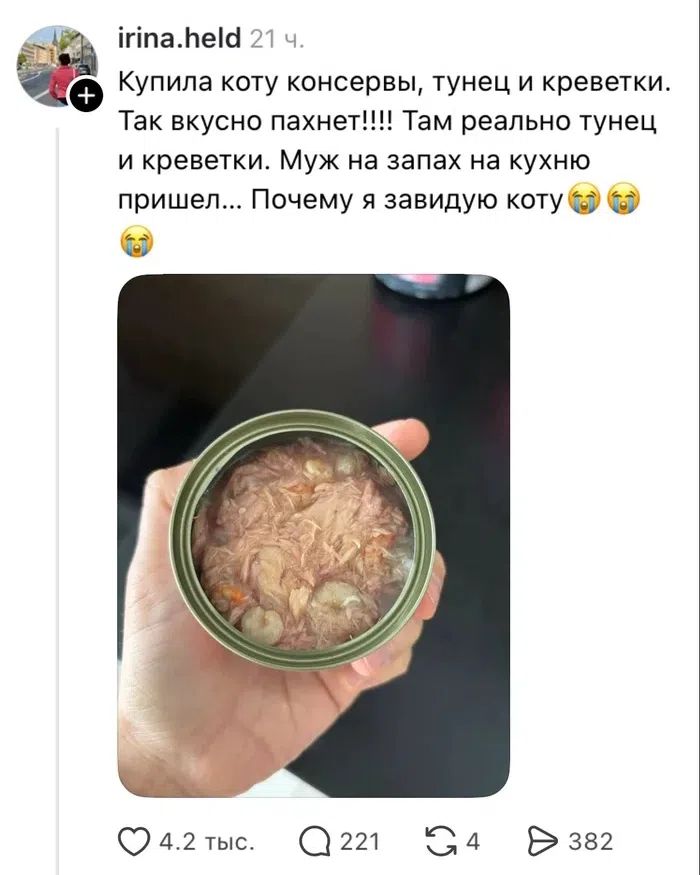 Купила коту консервы, тунец и креветки. Так вкусно пахнет!!!! Там реально тунец и креветки. Муж на запах на кухню пришел... Почему я завидую коту
