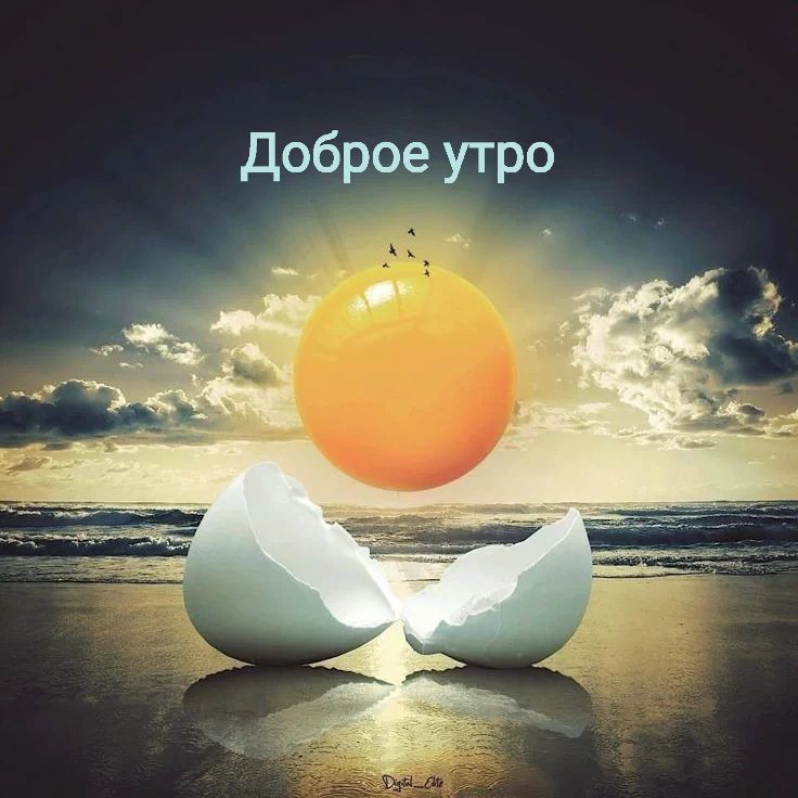Доброе утро