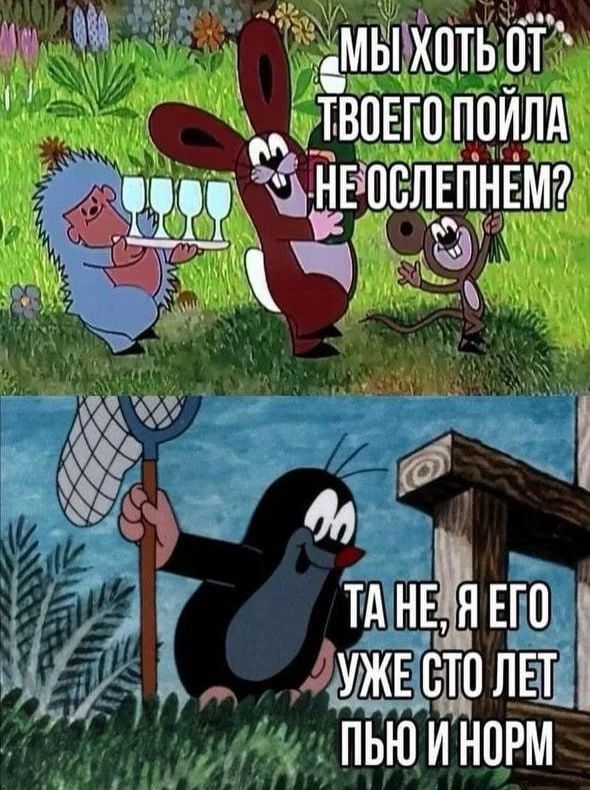 МЫ ХОТЬ ОТ ТВОЕГО ПОЙЛА НЕ ОСЛЕПНЕМ? ТА НЕ, Я ЕГО УЖЕ СТО ЛЕТ ПЬЮ И НОРМ