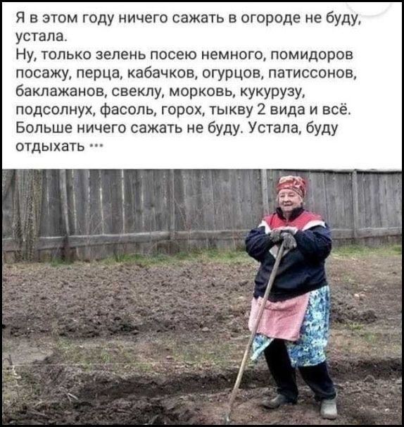 Я в этом году ничего сажать в огороде не буду, устала. Ну, только зелень посею немного, помидоров посажу, перца, кабачков, огурцов, патиссонов, баклажанов, свеклу, морковь, кукурузу, подсолнух, фасоль, горох, тыкву 2 вида и всё. Больше ничего сажать не буду. Устала, буду отдыхать ...