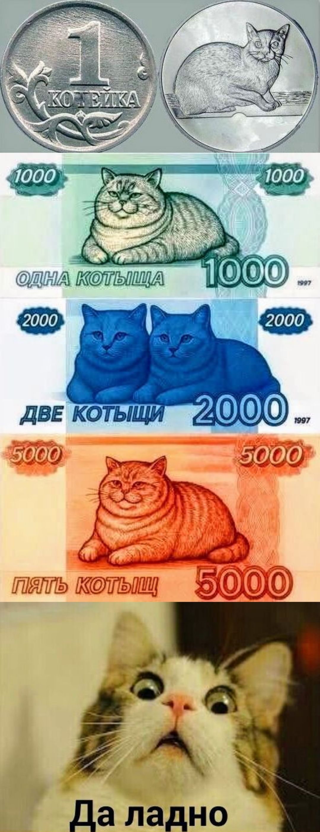 1 КОПЕЙКА 1000 ОДНА КОТЫЩА 2000 ДВЕ КОТЫЩИ 5000 ПЯТЬ КОТЫЩ Да ладно