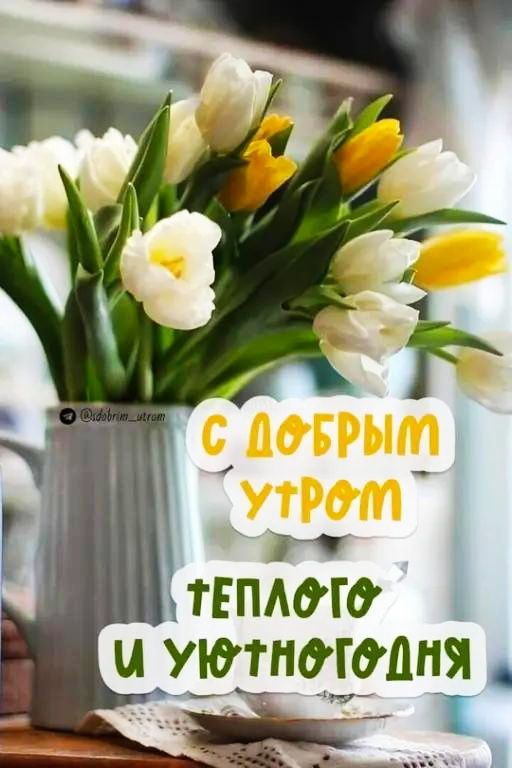 С добрым утром Теплого и уютного дня