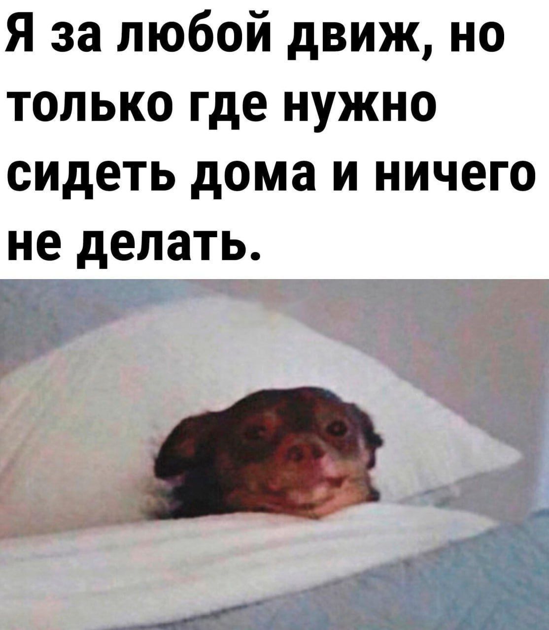 Я за любой движ, но только где нужно сидеть дома и ничего не делать.