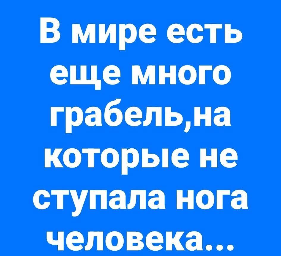 В мире есть еще много грабель, на которые не ступала нога человека...