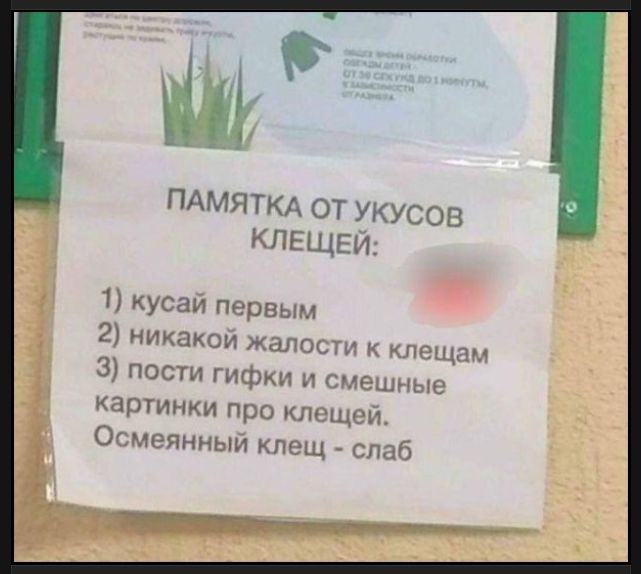 ПАМЯТКА ОТ УКУСОВ КЛЕЩЕЙ: 1) кусай первым 2) никакой жалости к клещам 3) пости гифки и смешные картинки про клещей. Оcмеянный клещ - слаб