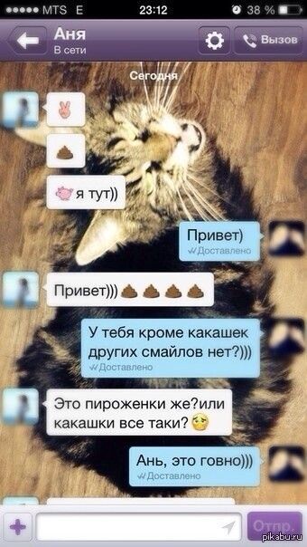Аня В сети Сегодня ✌️ 💩 🐷 я тут)) Привет) Привет))) 💩💩💩💩 У тебя кроме какашек других смайлов нет?))) Это пироженки же? или какашки все таки? 🥺 Ань, это говно))) Отпр. pikabu.ru