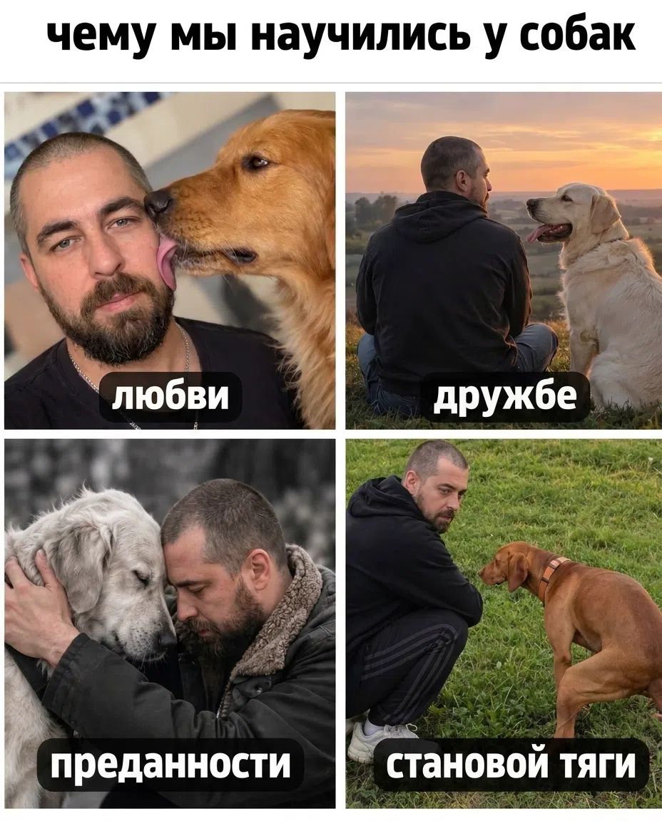 чему мы научились у собак любви дружбе преданности становой тяги