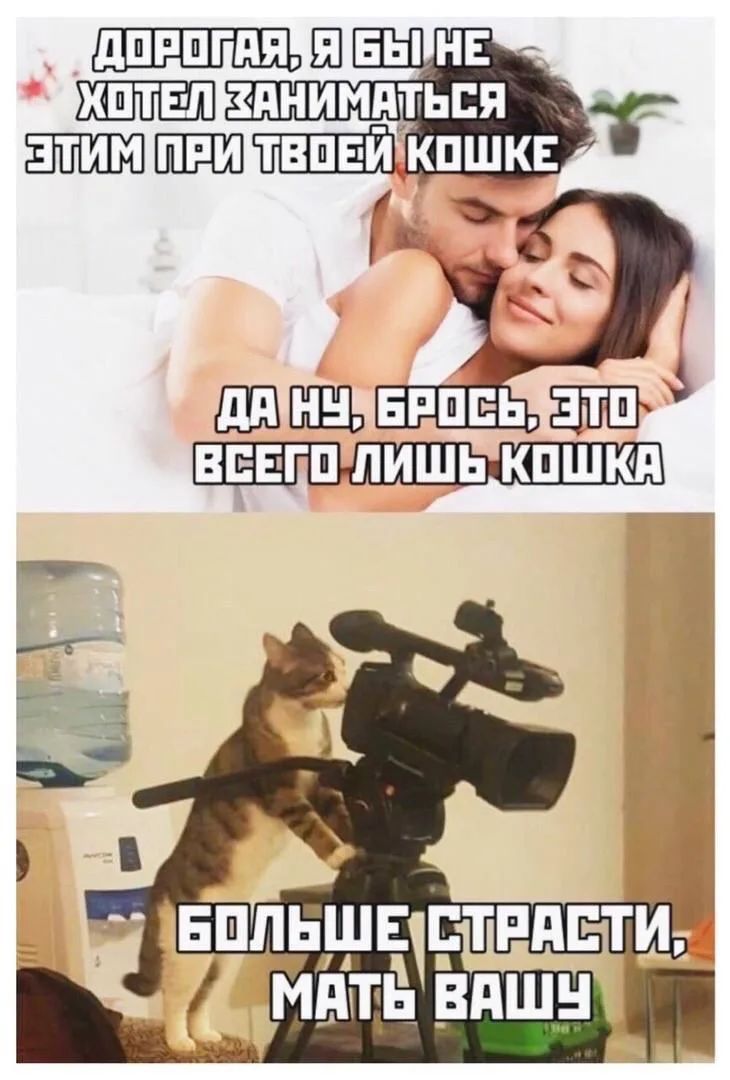 Дорогая, я бы не хотел заниматься этим при твоей кошке. Да ну, брось, это всего лишь кошка. Больше страсти, мать вашу