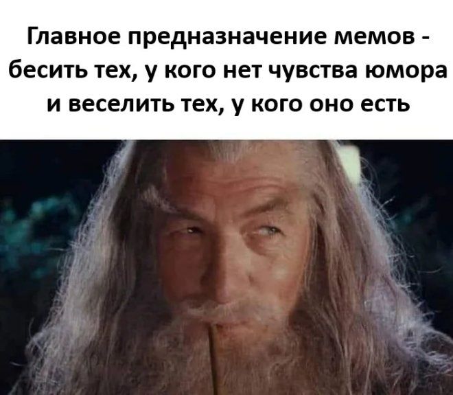 Главное предназначение мемов - бесить тех, у кого нет чувства юмора и веселить тех, у кого оно есть