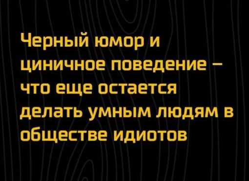 Черный юмор и циничное поведение – что еще остается делать умным людям в обществе идиотов
